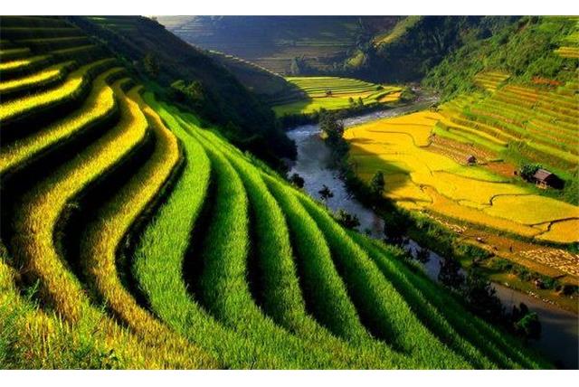 Tự hào là một trong những quốc gia có thiên nhiên đặc biệt phong phú, Việt Nam là điểm đến lý tưởng để bạn có thể khám phá và trải nghiệm những vùng đất huyền bí và tuyệt vời nhất.